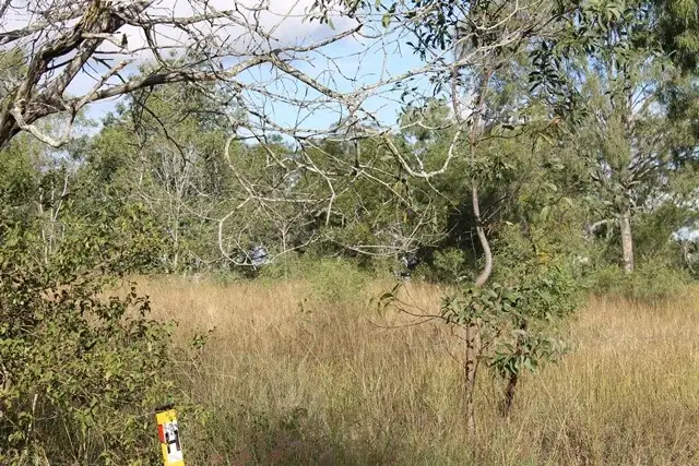 Seventh view of Homely land listing, 75 Poplar Street, Walloon QLD 4306
