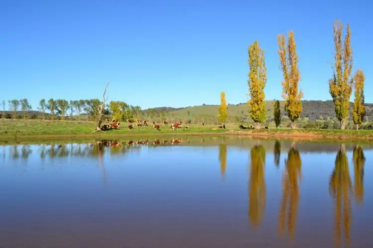 Sixth view of Homely rural property listing, LOT 1/245 Wairere Road, Mansfield VIC 3722