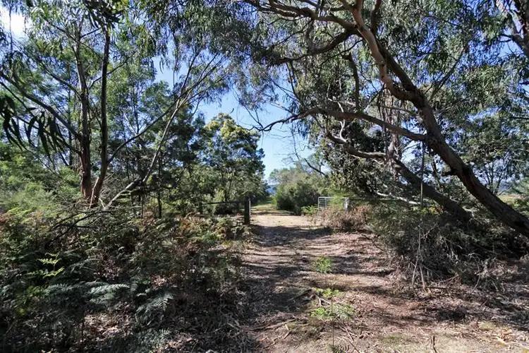 Fourth view of Homely house listing, 180 Wattle Point Road, Forge Creek, Paynesville VIC 3880
