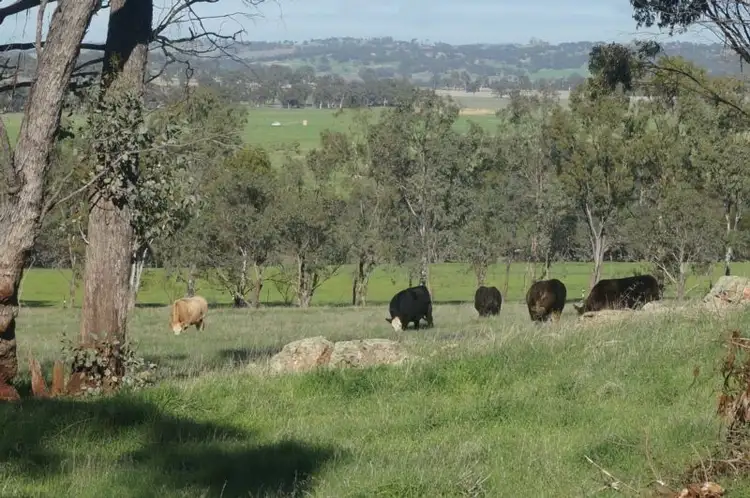 Main view of Homely rural property listing, 183 Mandiakon Road, Beverley WA 6304