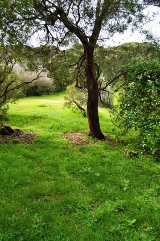 Second view of Homely land listing, 32 Godwin Street,, Blairgowrie VIC 3942