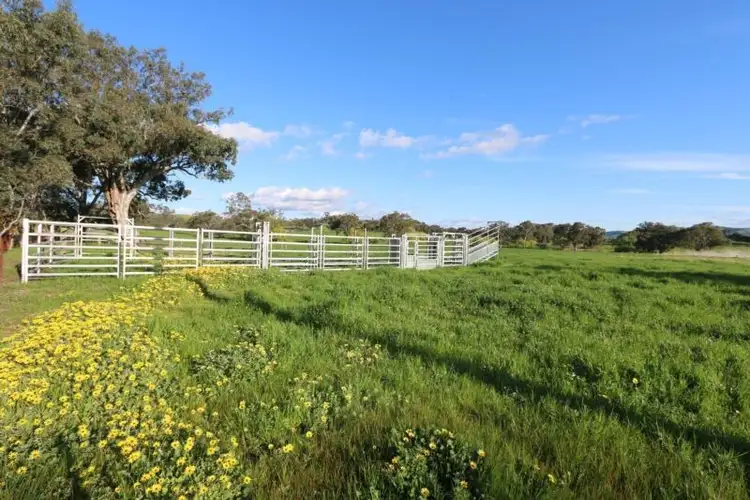 Seventh view of Homely land listing, 356 Limestone Road, Yea VIC 3717