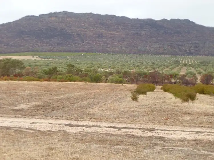 Main view of Homely rural property listing, 1379 Winfields Road, Laharum VIC 3401