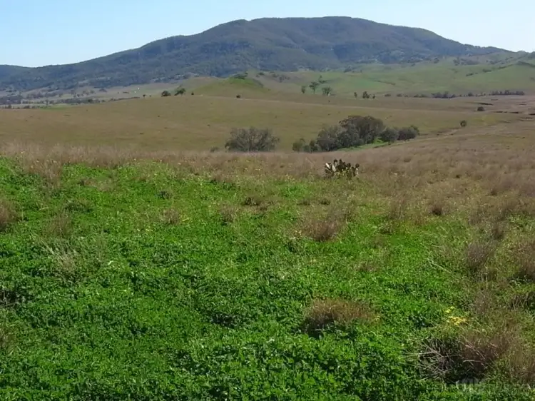 Seventh view of Homely land listing, LOT 13 Sandy Creek Road, Mccullys Gap NSW 2333