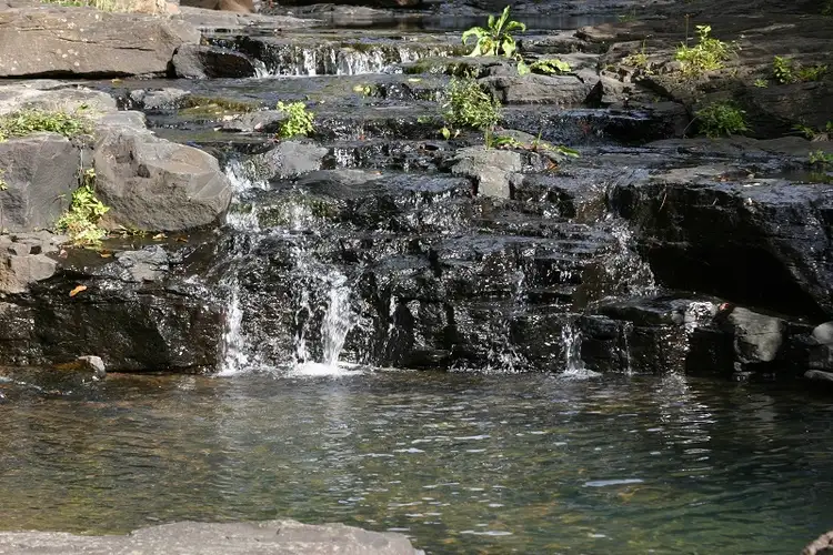 Seventh view of Homely rural property listing, LOT 23 Flying Fox Road, Flying Fox QLD 4275