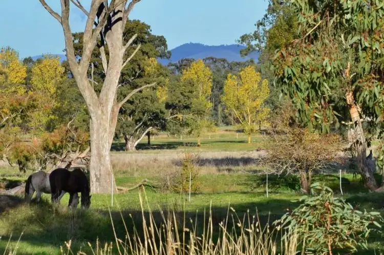 Third view of Homely house listing, 130 Walshs Road, Goughs Bay VIC 3723