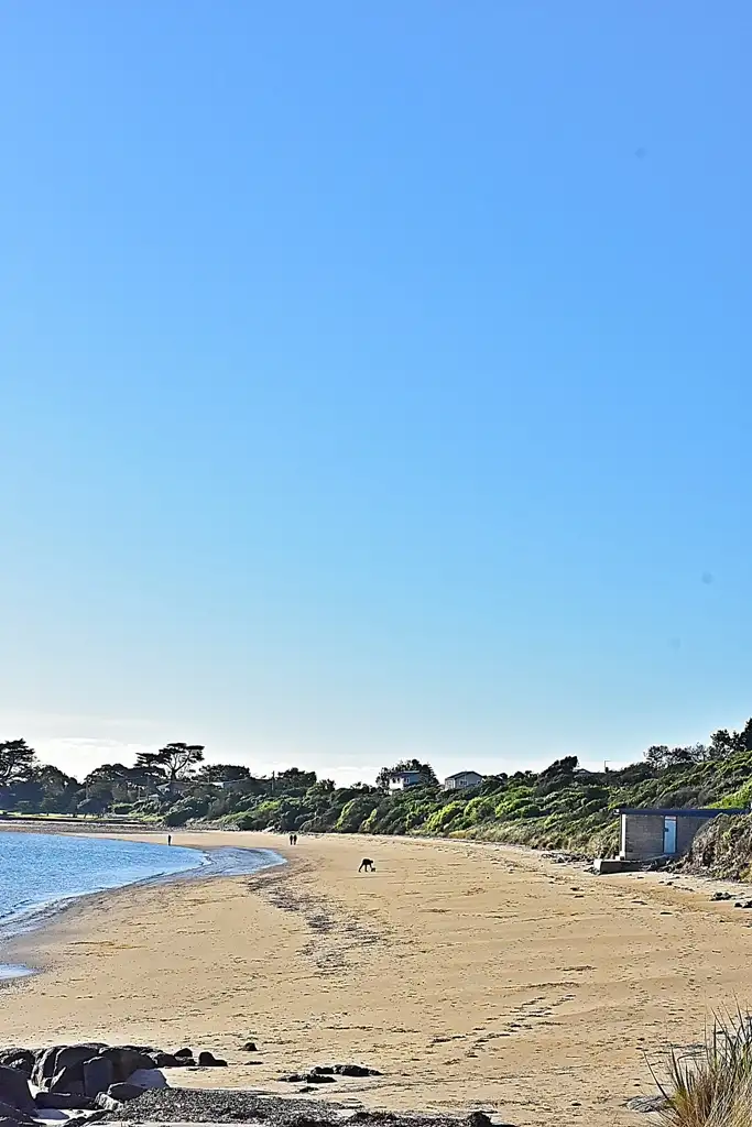 Fourth view of Homely house listing, 7 Perrin Drive, Low Head TAS 7253