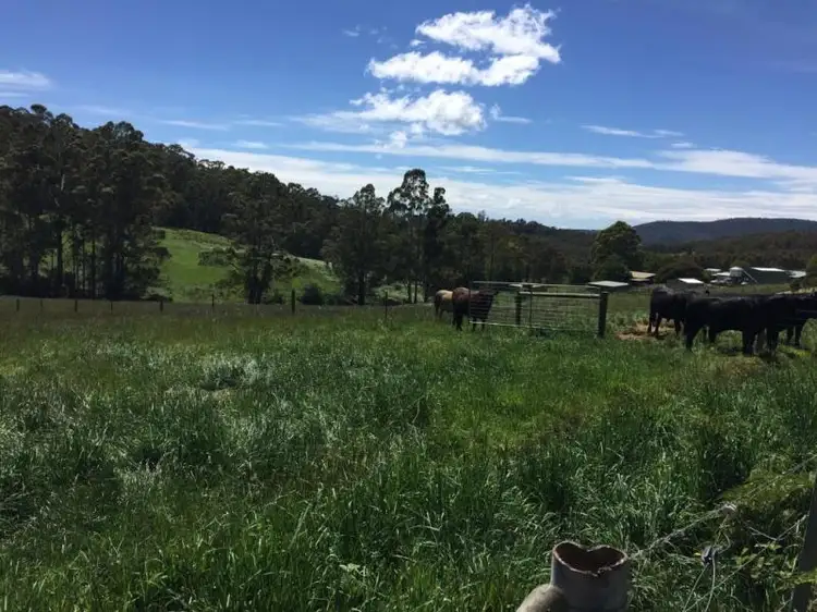 Third view of Homely land listing, * Hardwicks Road, Sunnyside TAS 7305