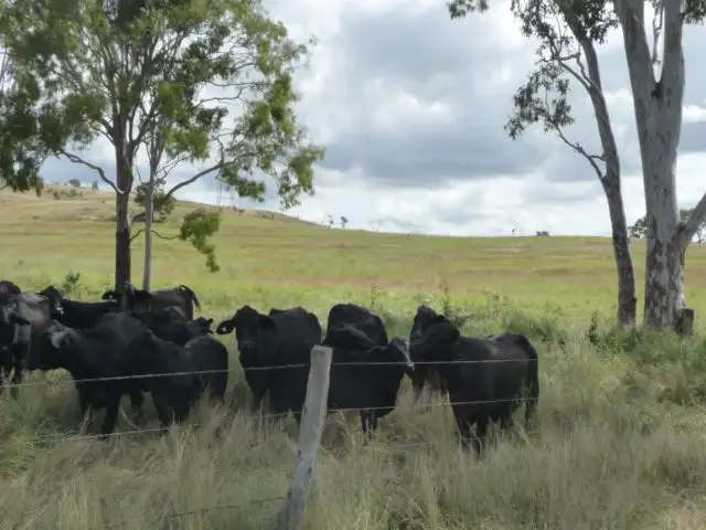 Second view of Homely rural property listing, LOT 913 ISIS HIGHWAY, Dallarnil QLD 4621