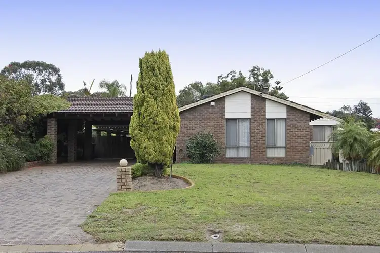Main view of Homely house listing, 29 Swallow Drive, Yangebup WA 6164