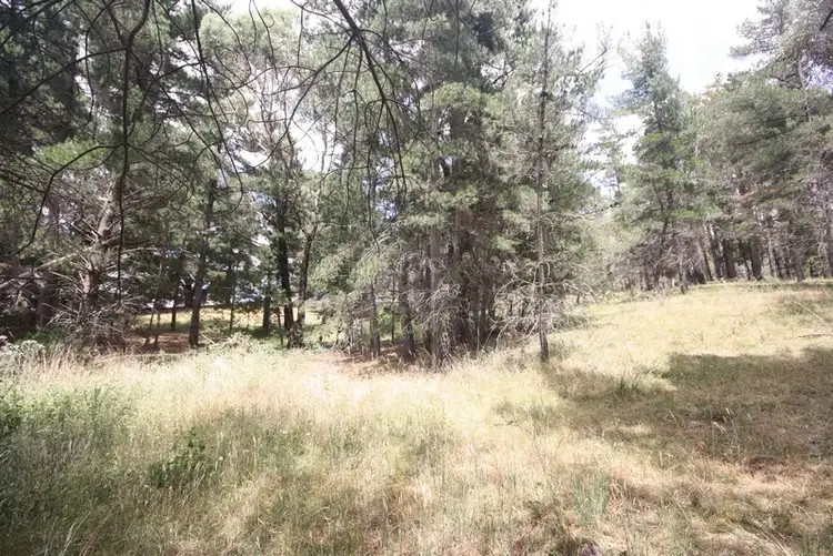 Third view of Homely land listing, 109 School Road, Beaufort VIC 3373