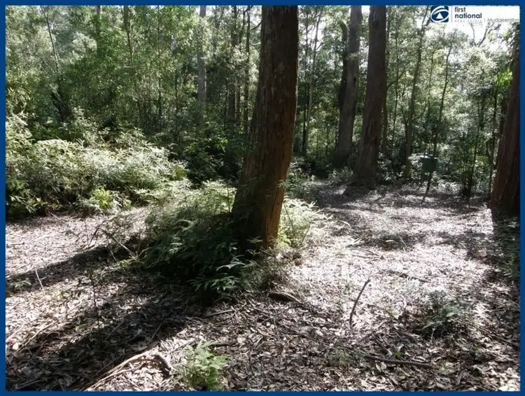 Seventh view of Homely land listing, 25 Banksia Road, Springbrook QLD 4213