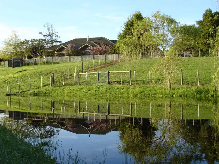 Third view of Homely rural property listing, 334 East Minstone Road, Scottsdale TAS 7260