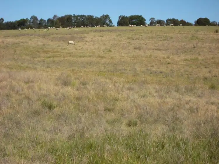 Second view of Homely rural property listing, 1641 Sapphire Road, Biala NSW 2581