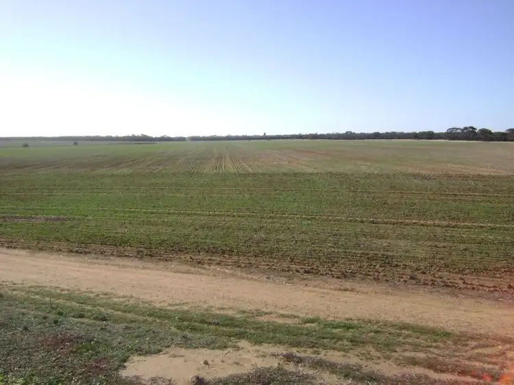 Main view of Homely land listing, LOT 26659 English Road, Nungarin WA 6490