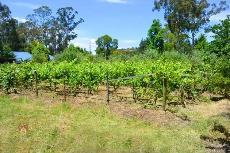 Fifth view of Homely land listing, 11 Westbridge Road, Glenburn VIC 3717