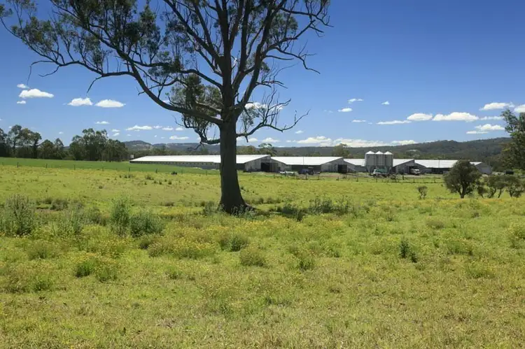 Main view of Homely rural property listing, 372 Gresford Road, Paterson NSW 2421