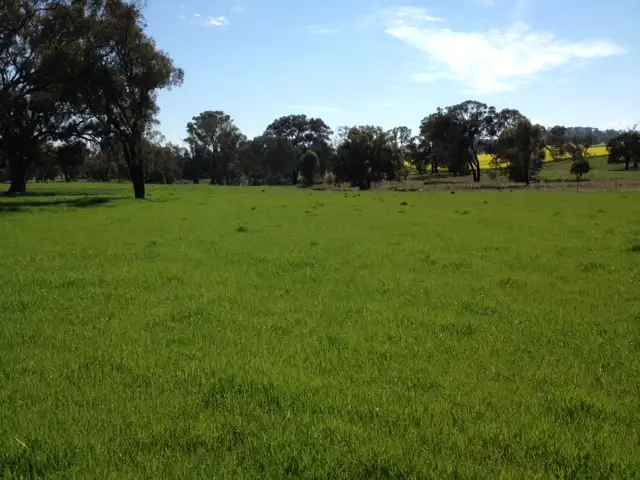 Second view of Homely rural property listing, Old Cootamundra Road, Cootamundra NSW 2590