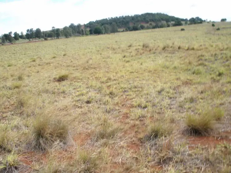 Fourth view of Homely house listing, 161 Wellers Road, Wooroolin QLD 4608
