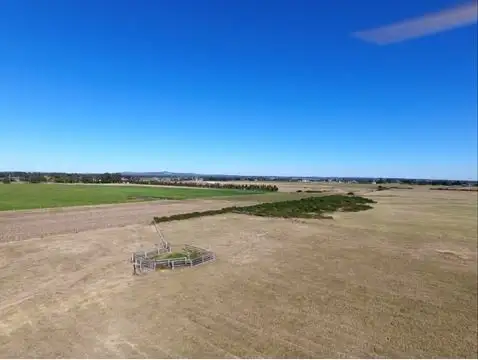 Main view of Homely land listing, 1243 Raymond Terrace Road, Millers Forest NSW 2324