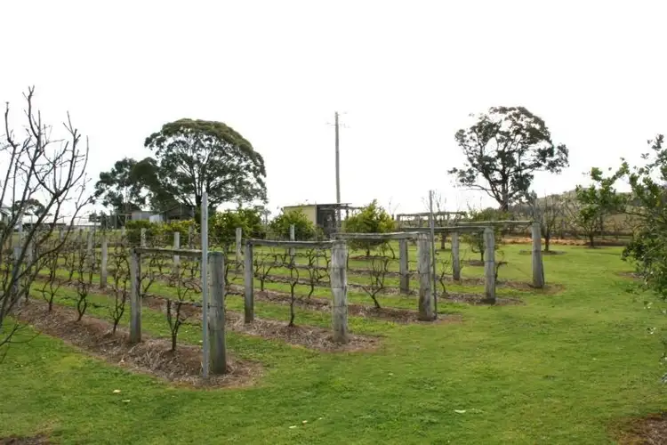 Fourth view of Homely house listing, 144 Durham Road, Gresford NSW 2311