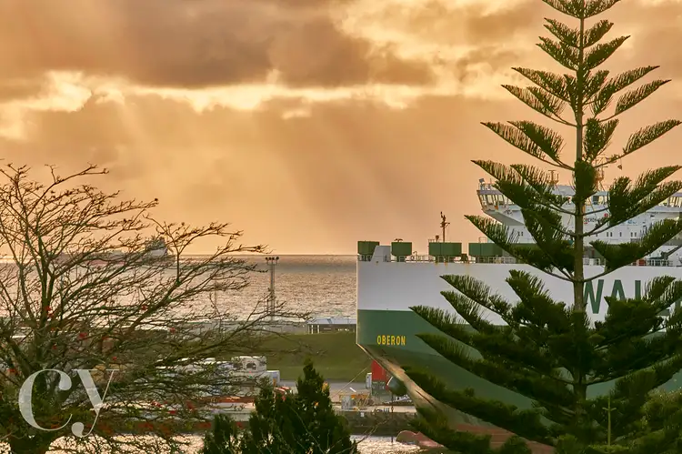 4 Dorothy Street, Fremantle WA 6160