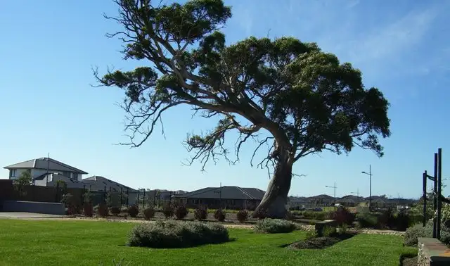 Second view of Homely land listing, LOT 1812/25 Warrego Circuit, Sandhurst VIC 3977