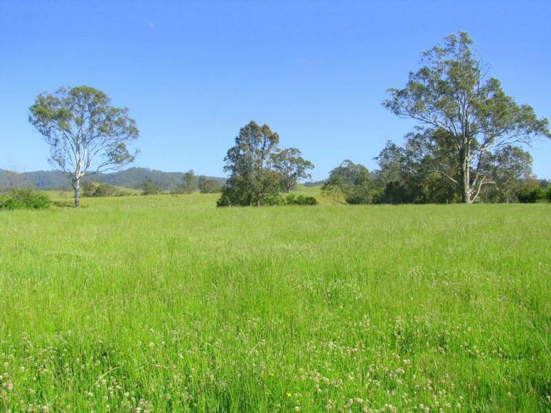 Main view of Homely rural property listing, Address available on request