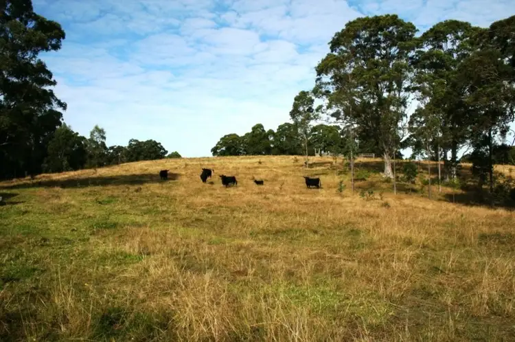 Main view of Homely rural property listing, Lot 7 Tanna Road, Clarence Town NSW 2321