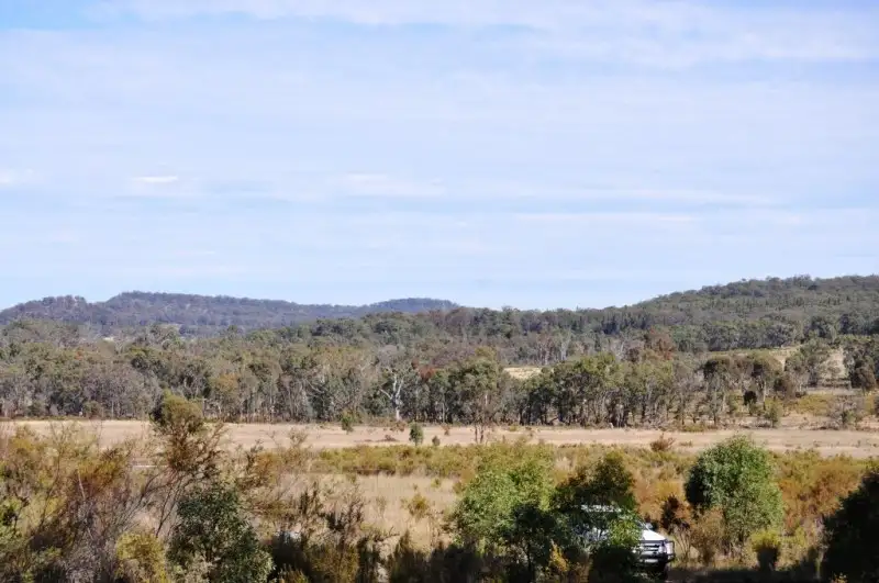 Main view of Homely rural property listing, 01072 Blue Springs Road, Gulgong NSW 2852