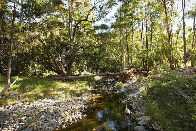 Sixth view of Homely house listing, 287 Walli Creek Road, Kenilworth QLD 4574