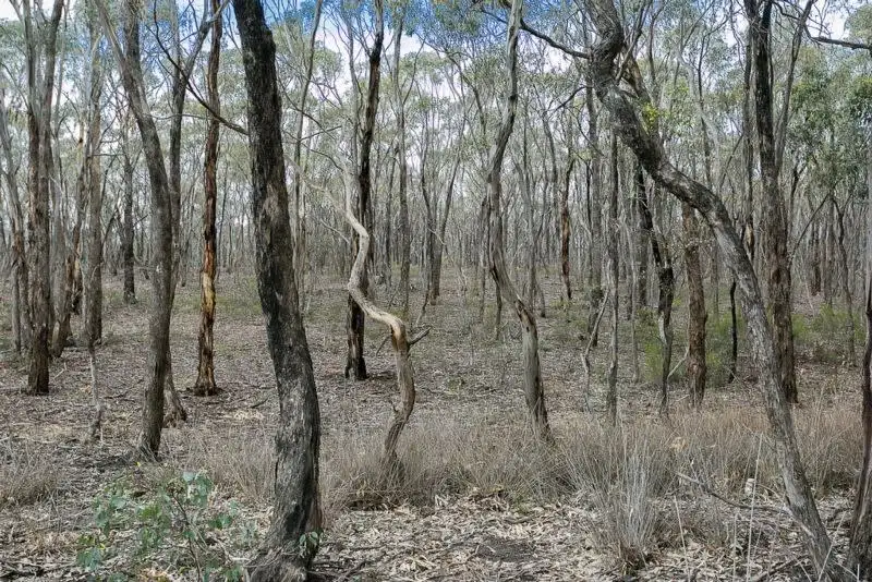 Main view of Homely land listing, 52A Andrews Road, Maiden Gully VIC 3551
