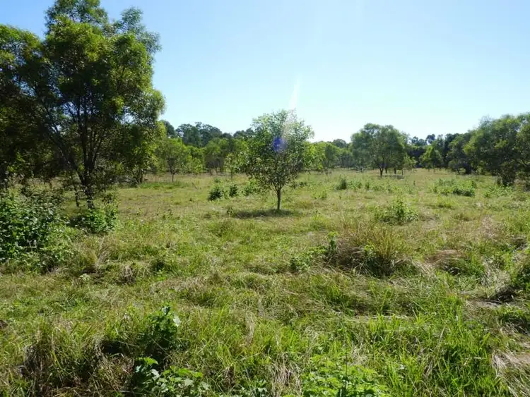 Fourth view of Homely house listing, 31 Annie Street, Howard QLD 4659