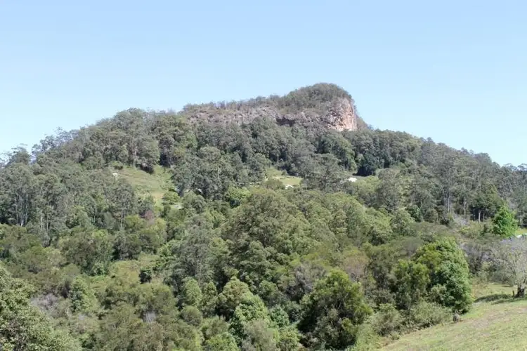 Third view of Homely rural property listing, 573 Blue Knob Road, Blue Knob NSW 2480