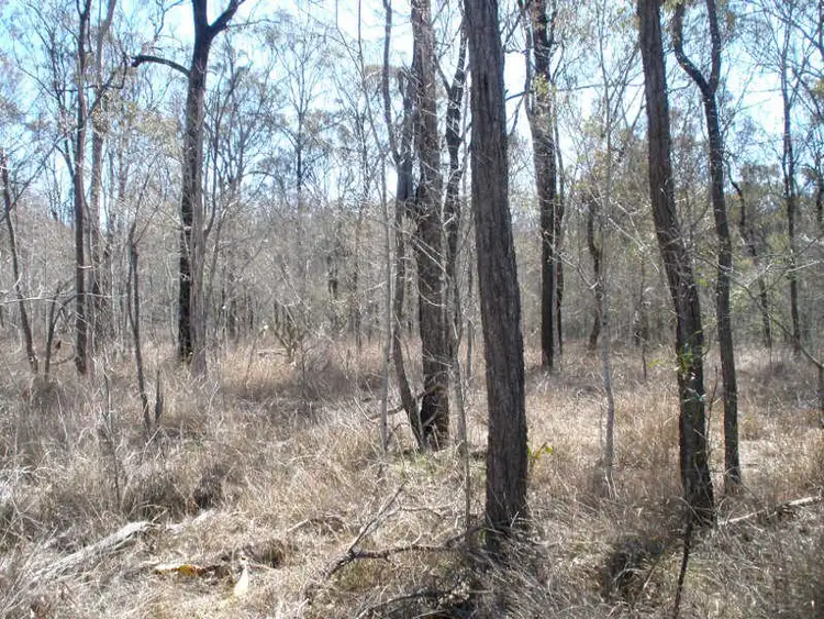 Fourth view of Homely rural property listing, Lot 2 Proston Boondooma Road, Coverty QLD 4613