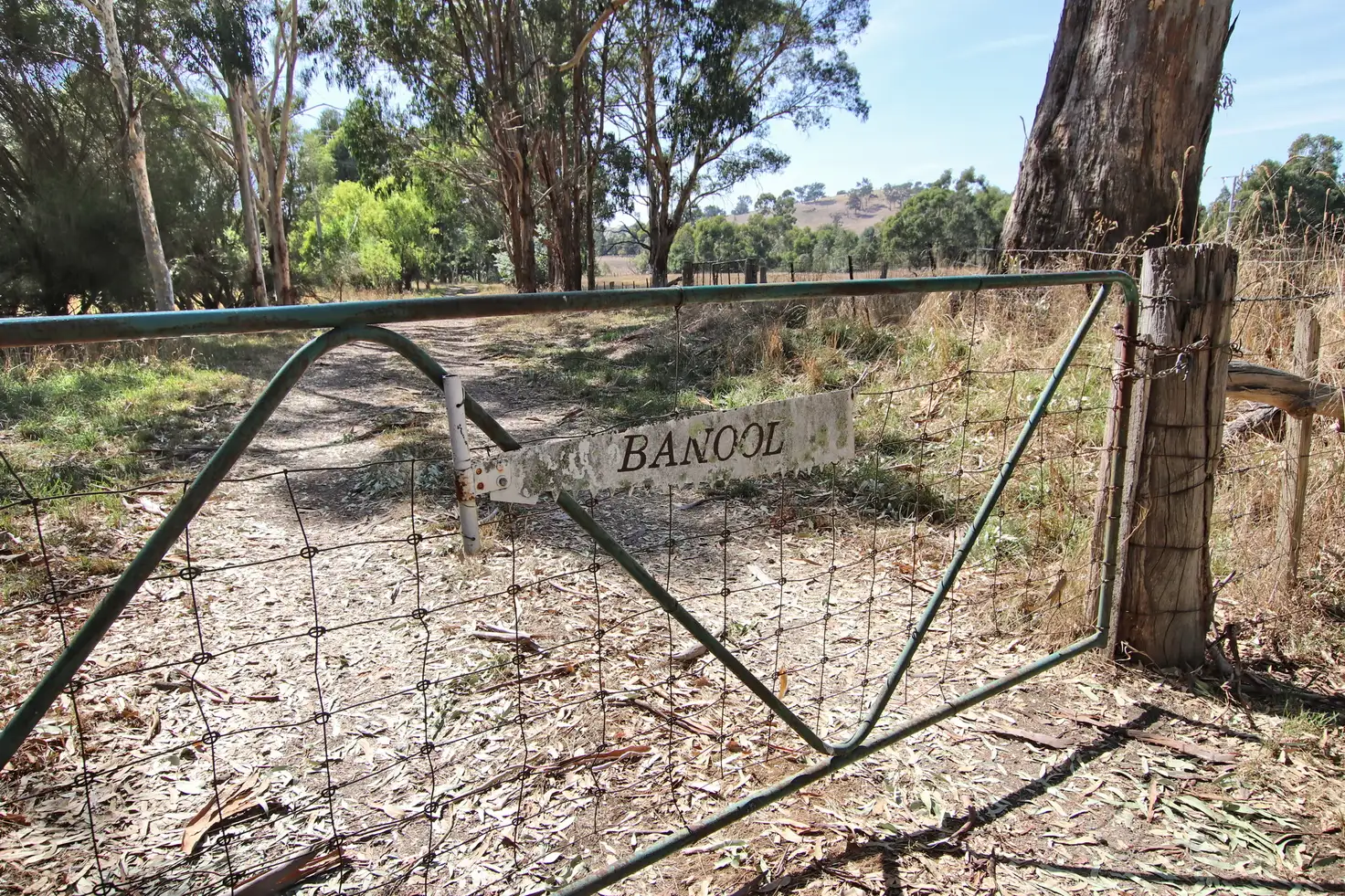 Main view of Homely rural property listing, 407 Maroondah Highway, Merton VIC 3715