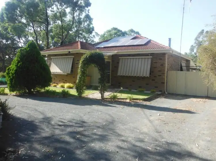 Main view of Homely house listing, 3a Schier Street, Barmah VIC 3639