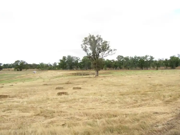 Third view of Homely land listing, 167 Hamilton Way, Lockwood South VIC 3551