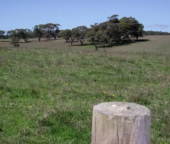 Fourth view of Homely land listing, LOT 2, 2 Bedlam Flat Road, Delamere SA 5204