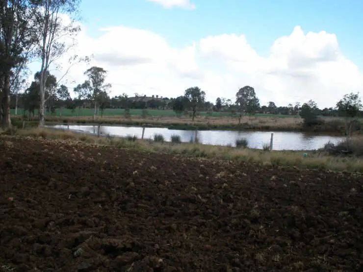 Main view of Homely rural property listing, Lot 491 Rackemann Road, Wooroolin QLD 4608