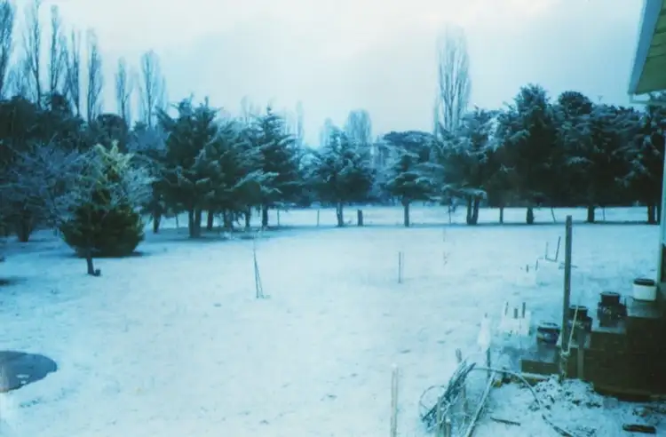 Third view of Homely house listing, 12 Hamilton Street, Dalgety NSW 2628