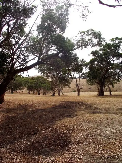 Seventh view of Homely rural property listing, Lot 51 Bullaparinga Crescent, Delamere SA 5204