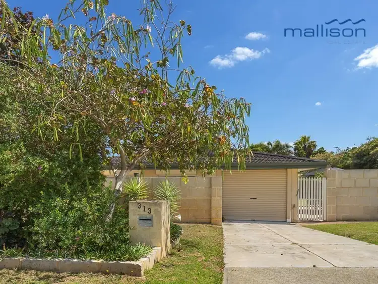 Second view of Homely house listing, 313 Yangebup Road, Yangebup WA 6164