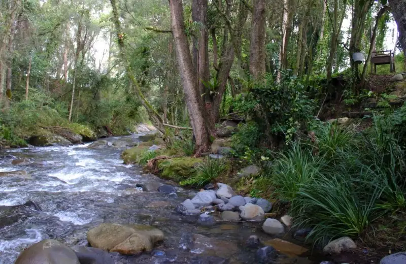 Main view of Homely land listing, 2855 Salisbury, Salisbury NSW 2420