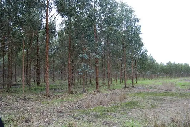 Second view of Homely rural property listing, Lot 23 Morande Road, Narrikup WA 6326