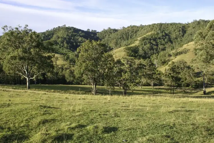 Main view of Homely land listing, 262 Dog Trap Creek Road, Gresford NSW 2311