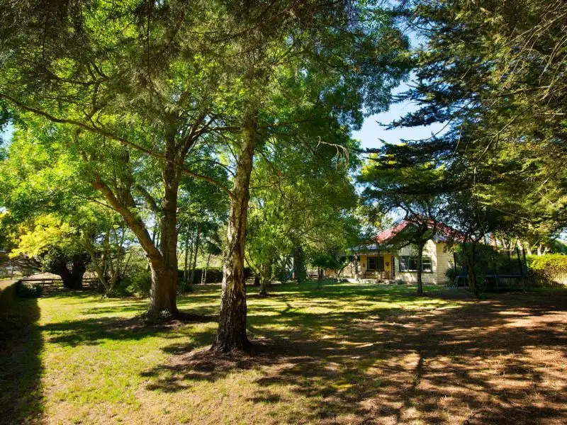 Main view of Homely house listing, 349 Sawmill Road, Springmount VIC 3364