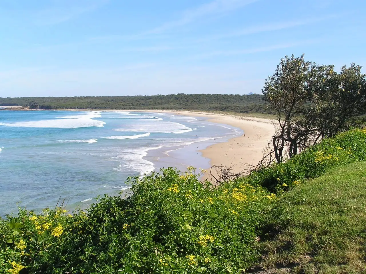 Main view of Homely house listing, 13 Wirreecoo Road, Berrara NSW 2540