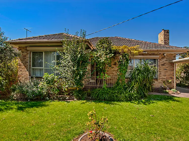 49 Maple Street, Blackburn VIC 3130