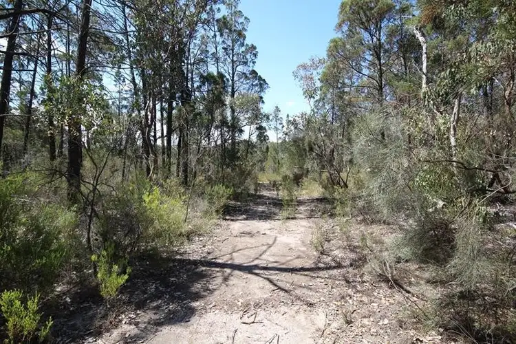 Third view of Homely land listing, 191 Whiskey Gully Road, Stanthorpe QLD 4380